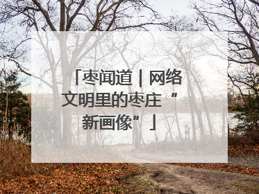 枣闻道｜网络文明里的枣庄“新画像”