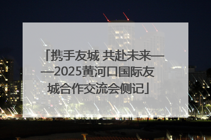 携手友城 共赴未来——2025黄河口国际友城合作交流会侧记