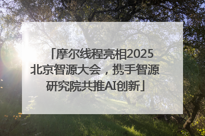 摩尔线程亮相2025北京智源大会，携手智源研究院共推AI创新