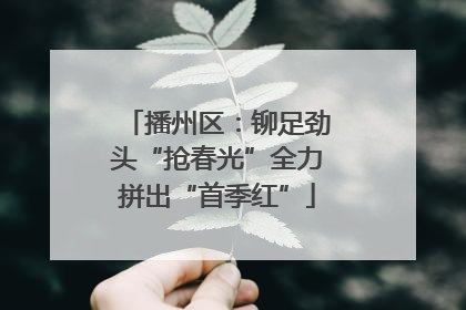 播州区：铆足劲头“抢春光”全力拼出“首季红”