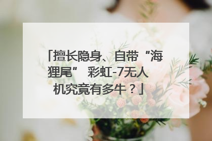 擅长隐身、自带“海狸尾” 彩虹-7无人机究竟有多牛？