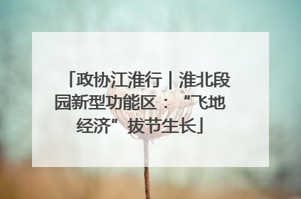 政协江淮行｜淮北段园新型功能区：“飞地经济”拔节生长