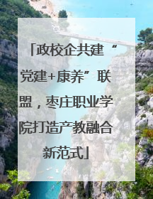 政校企共建“党建+康养”联盟，枣庄职业学院打造产教融合新范式