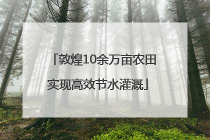 敦煌10余万亩农田实现高效节水灌溉
