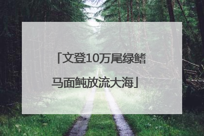 文登10万尾绿鳍马面鲀放流大海