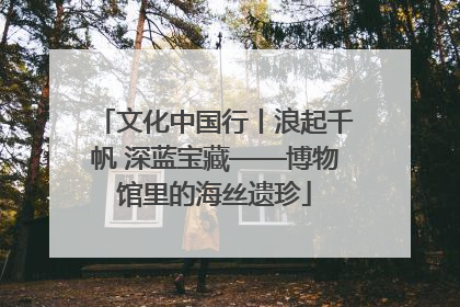 文化中国行丨浪起千帆 深蓝宝藏——博物馆里的海丝遗珍