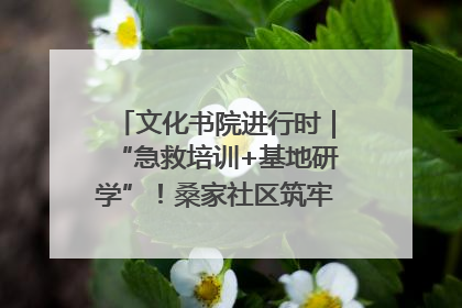 文化书院进行时｜“急救培训+基地研学”！桑家社区筑牢居民健康防线