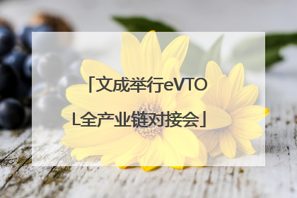 文成举行eVTOL全产业链对接会