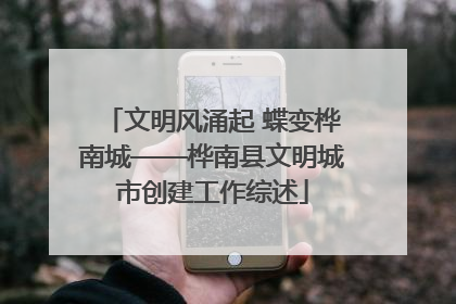 文明风涌起 蝶变桦南城——桦南县文明城市创建工作综述