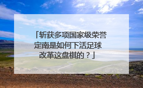 斩获多项国家级荣誉 定南是如何下活足球改革这盘棋的？