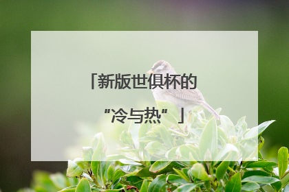 新版世俱杯的“冷与热”