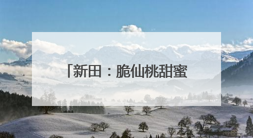 新田：脆仙桃甜蜜上市 错峰种植让水果变成“致富果”