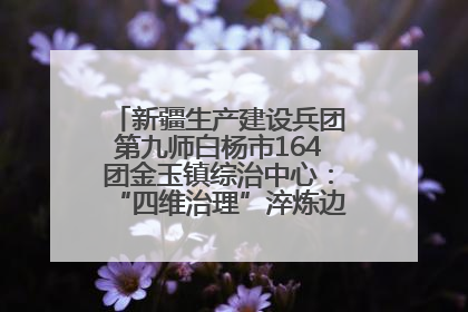 新疆生产建设兵团第九师白杨市164团金玉镇综治中心：“四维治理”淬炼边疆“枫桥样本”