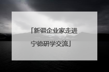 新疆企业家走进宁德研学交流