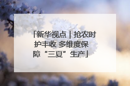 新华视点｜抢农时 护丰收 多维度保障“三夏”生产