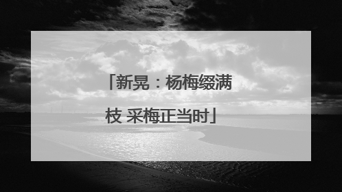 新晃：杨梅缀满枝 采梅正当时