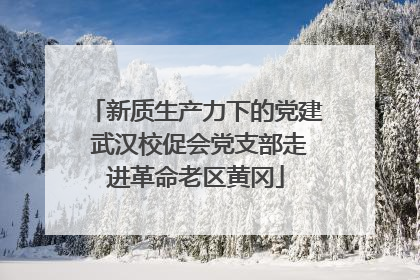 新质生产力下的党建 武汉校促会党支部走进革命老区黄冈