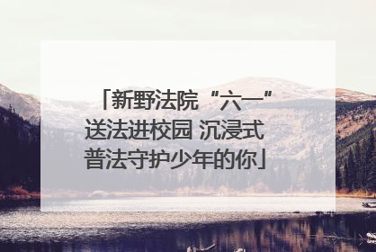 新野法院“六一”送法进校园 沉浸式普法守护少年的你
