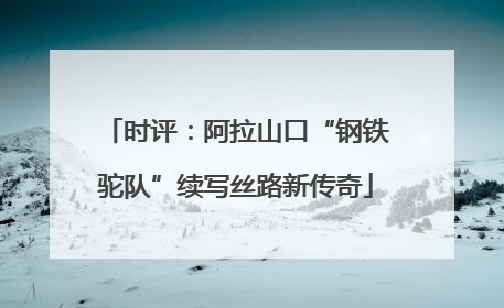 时评：阿拉山口“钢铁驼队”续写丝路新传奇