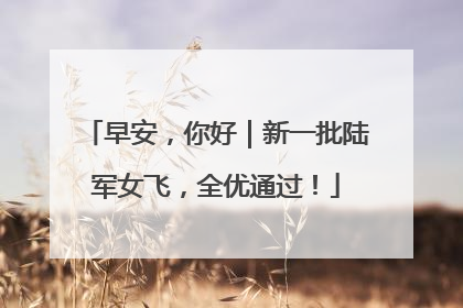 早安，你好｜新一批陆军女飞，全优通过！