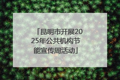 昆明市开展2025年公共机构节能宣传周活动