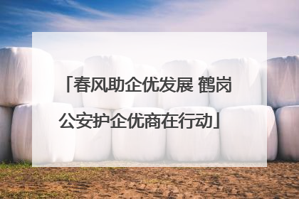 春风助企优发展 鹤岗公安护企优商在行动