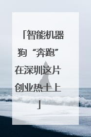 智能机器狗“奔跑”在深圳这片创业热土上