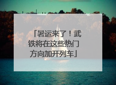 暑运来了！武铁将在这些热门方向加开列车