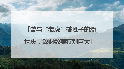 曾与“老虎”搭班子的潘世庆，敛财数额特别巨大