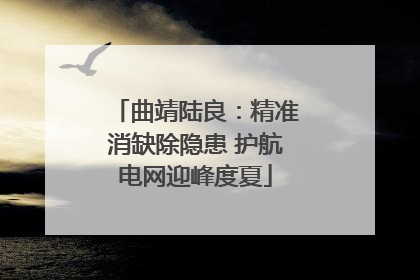 曲靖陆良：精准消缺除隐患 护航电网迎峰度夏