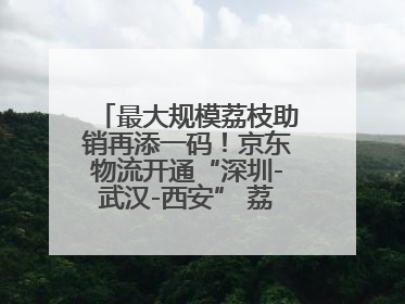 最大规模荔枝助销再添一码！京东物流开通“深圳-武汉-西安” 荔枝全货机航线