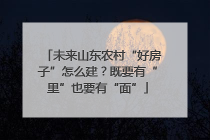 未来山东农村“好房子”怎么建？既要有“里”也要有“面”