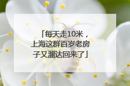 每天走10米，上海这群百岁老房子又溜达回来了