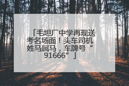 毛坦厂中学再现送考名场面！头车司机姓马属马，车牌号“91666”