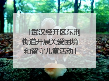 武汉经开区东荆街道开展关爱困境和留守儿童活动