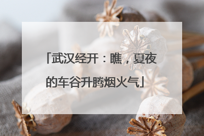 武汉经开：瞧，夏夜的车谷升腾烟火气