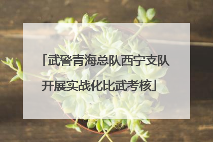 武警青海总队西宁支队开展实战化比武考核