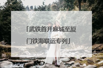 武铁首开麻城至厦门铁海联运专列