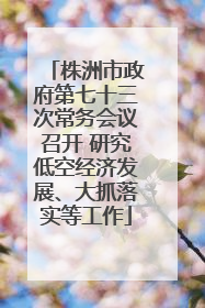 株洲市政府第七十三次常务会议召开 研究低空经济发展、大抓落实等工作