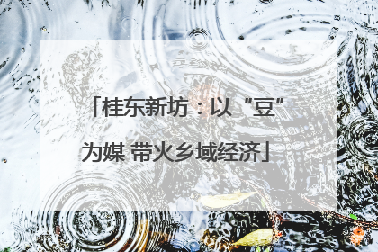 桂东新坊：以“豆”为媒 带火乡域经济