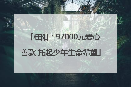 桂阳：97000元爱心善款 托起少年生命希望