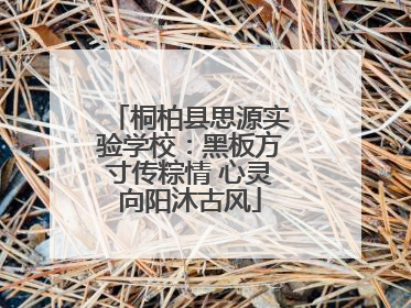 桐柏县思源实验学校：黑板方寸传粽情 心灵向阳沐古风