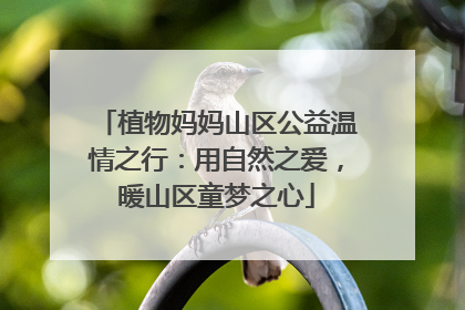 植物妈妈山区公益温情之行：用自然之爱，暖山区童梦之心