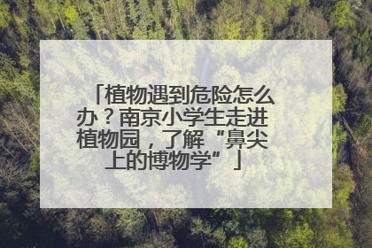 植物遇到危险怎么办？南京小学生走进植物园，了解“鼻尖上的博物学”