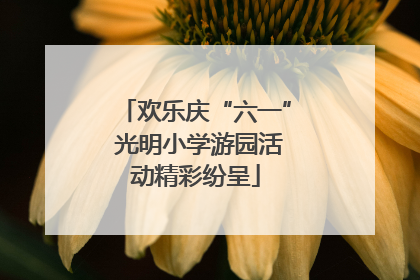 欢乐庆“六一” 光明小学游园活动精彩纷呈