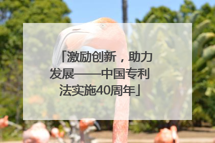 激励创新，助力发展——中国专利法实施40周年