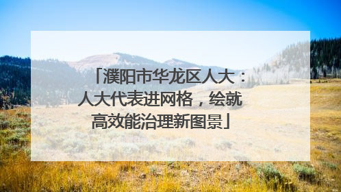 濮阳市华龙区人大：人大代表进网格，绘就高效能治理新图景