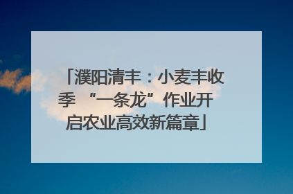 濮阳清丰：小麦丰收季 “一条龙”作业开启农业高效新篇章