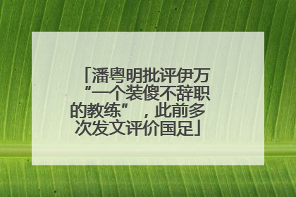 潘粤明批评伊万“一个装傻不辞职的教练”，此前多次发文评价国足