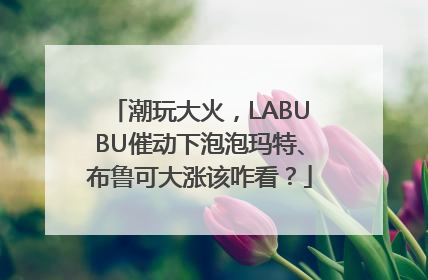 潮玩大火，LABUBU催动下泡泡玛特、布鲁可大涨该咋看？